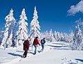 Winterurlaub in Waldmünchen